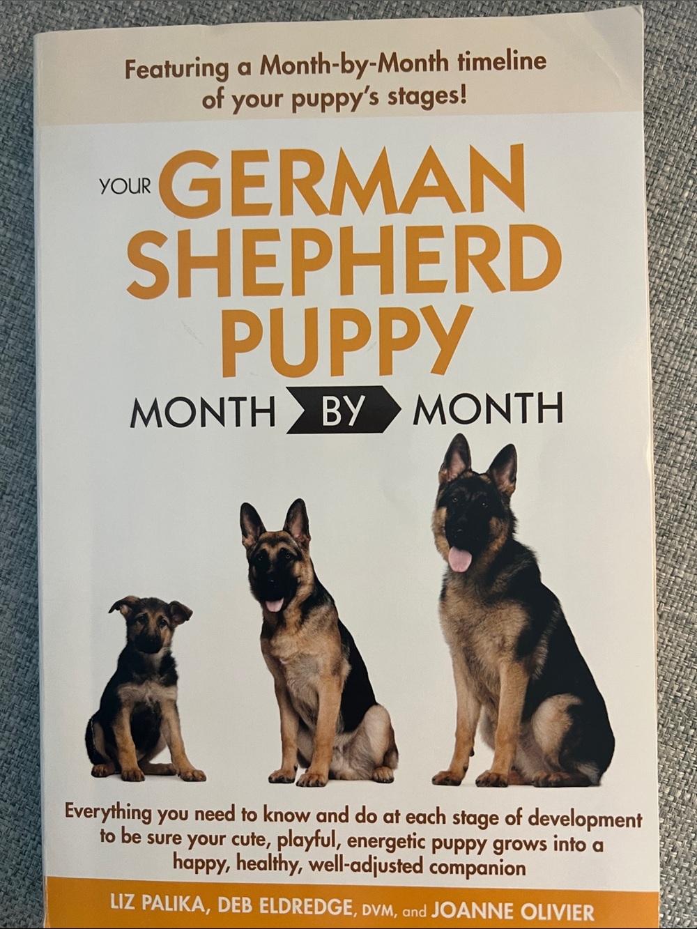 Your German Shepherd Puppy Month by Month - Guide (Brown/Black)